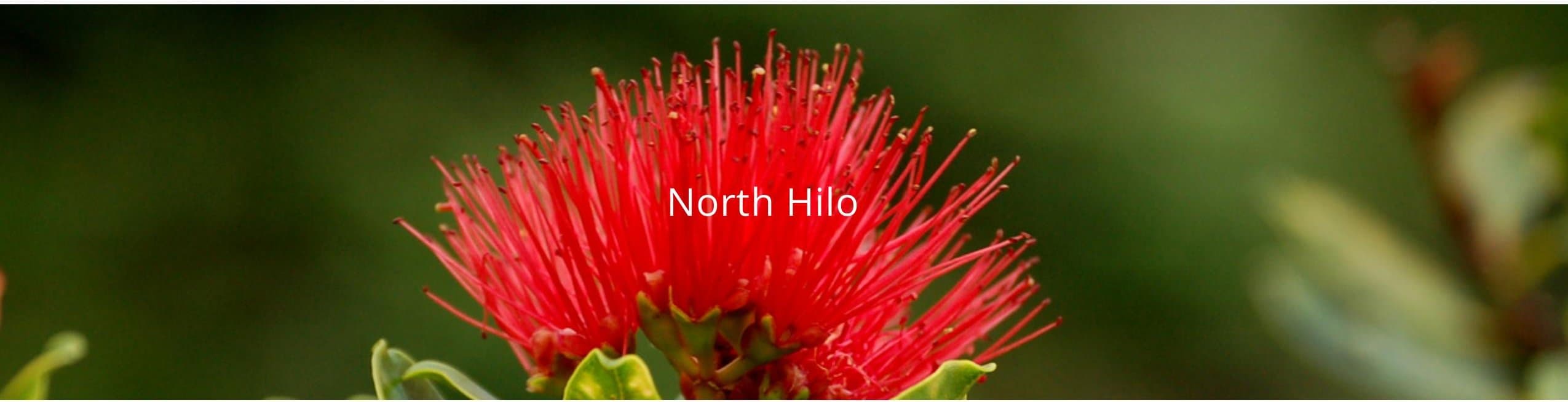 North Hilo